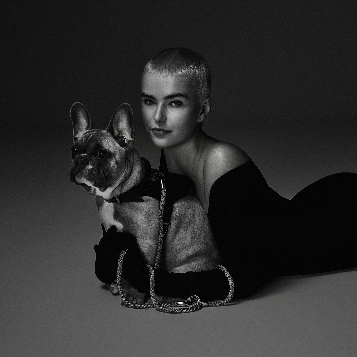 Luxury dog leash in Palladium braided