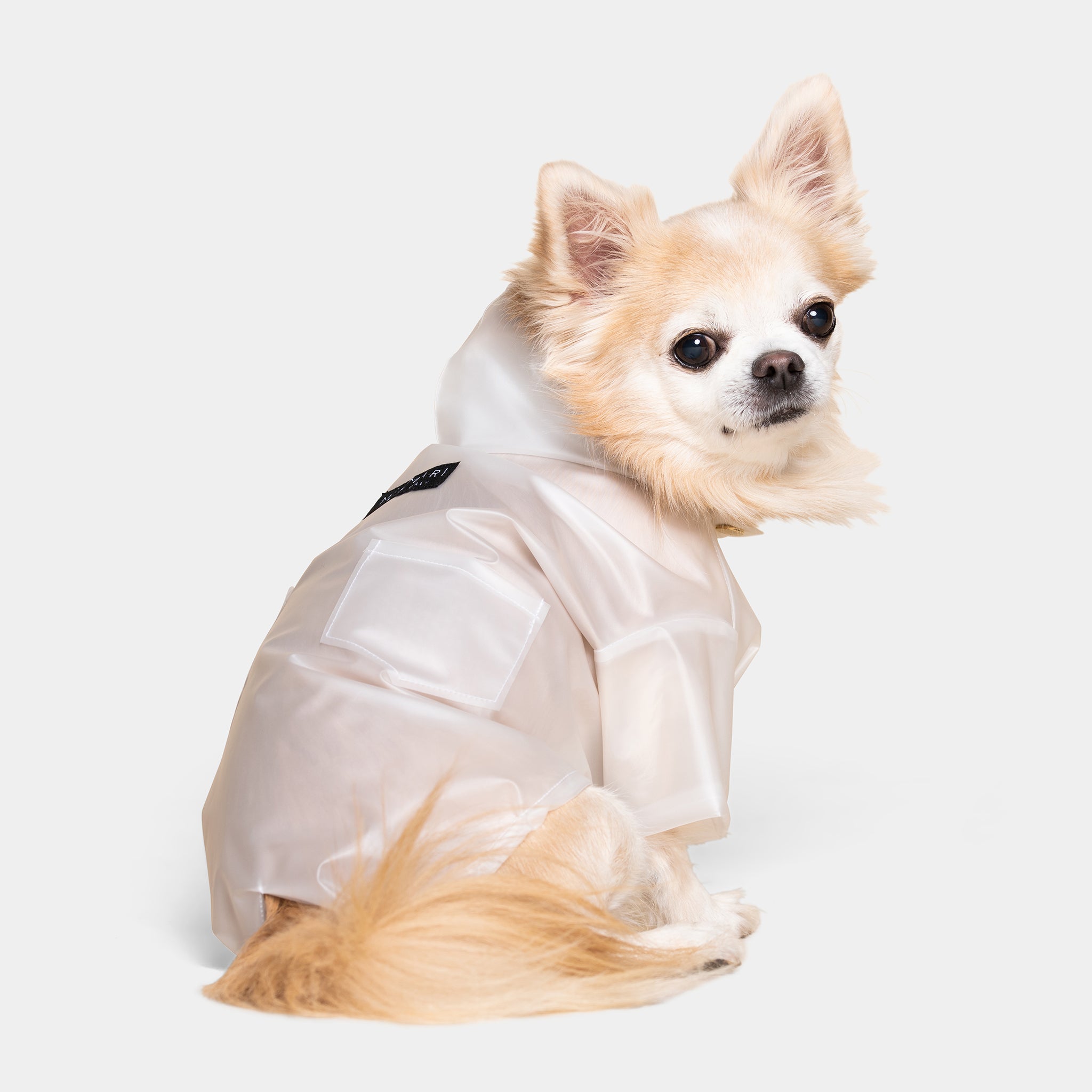 Meomari Perini Dog raincoat white - Meomari