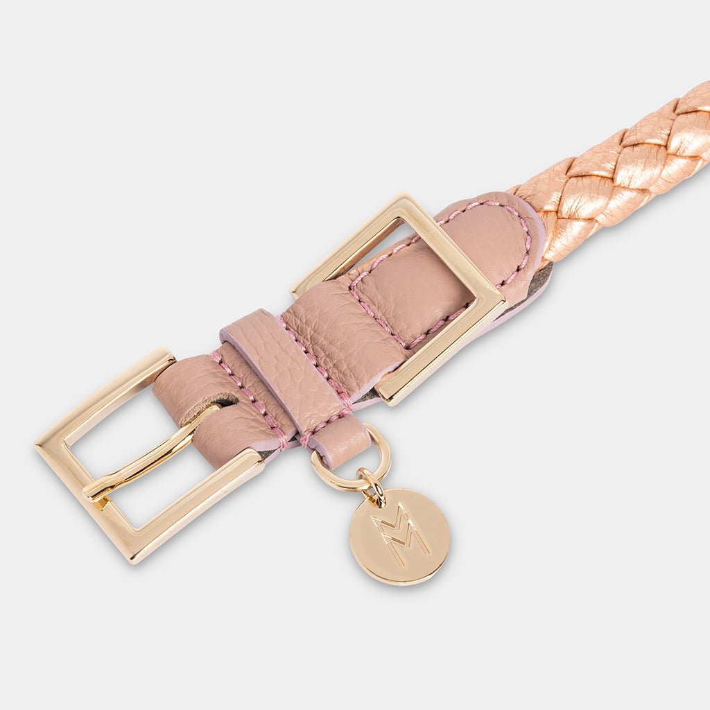 Meomari Fracci dog collar large sizes - Meomari