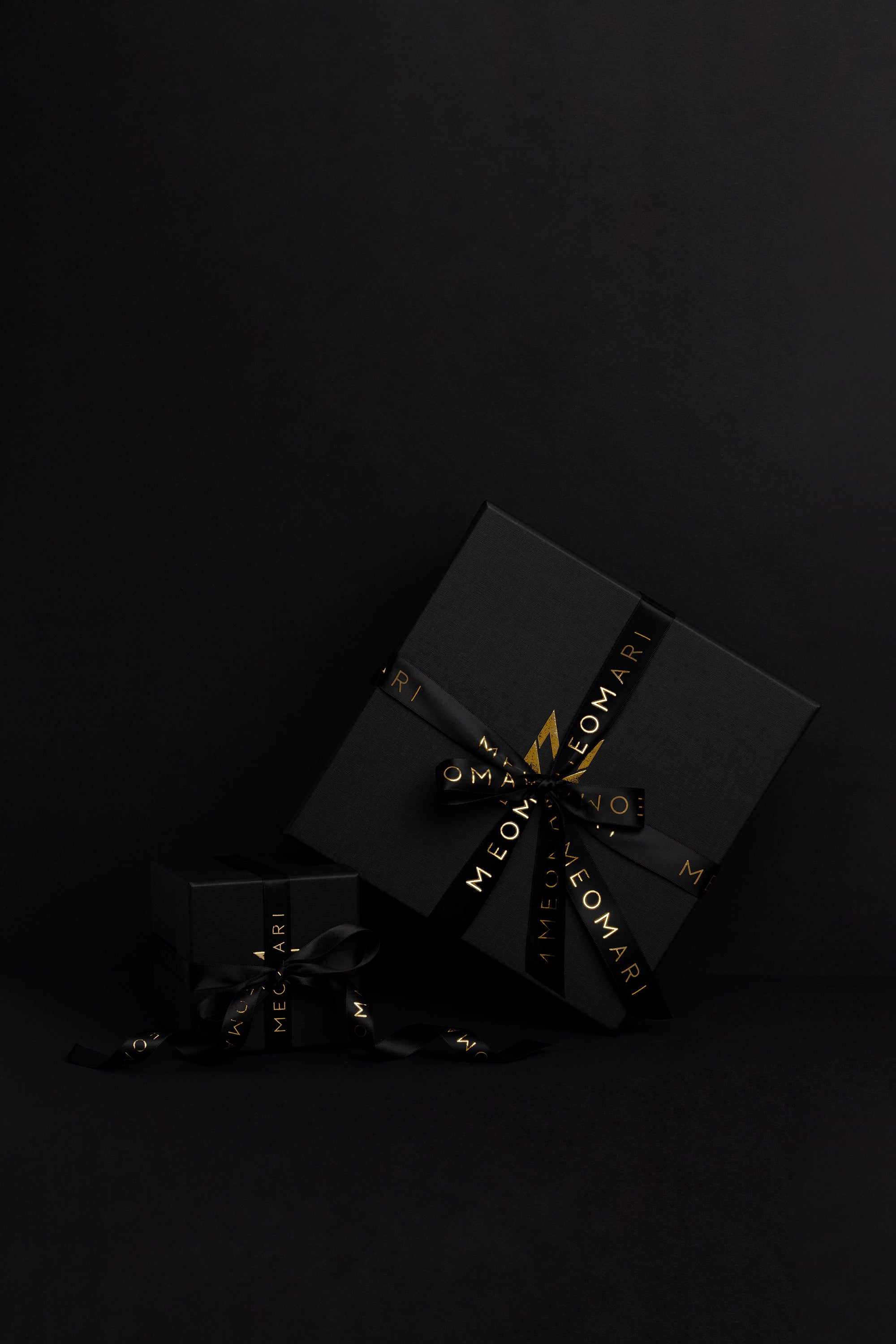 Meomari Da Piacenza Dog training leash - Meomari