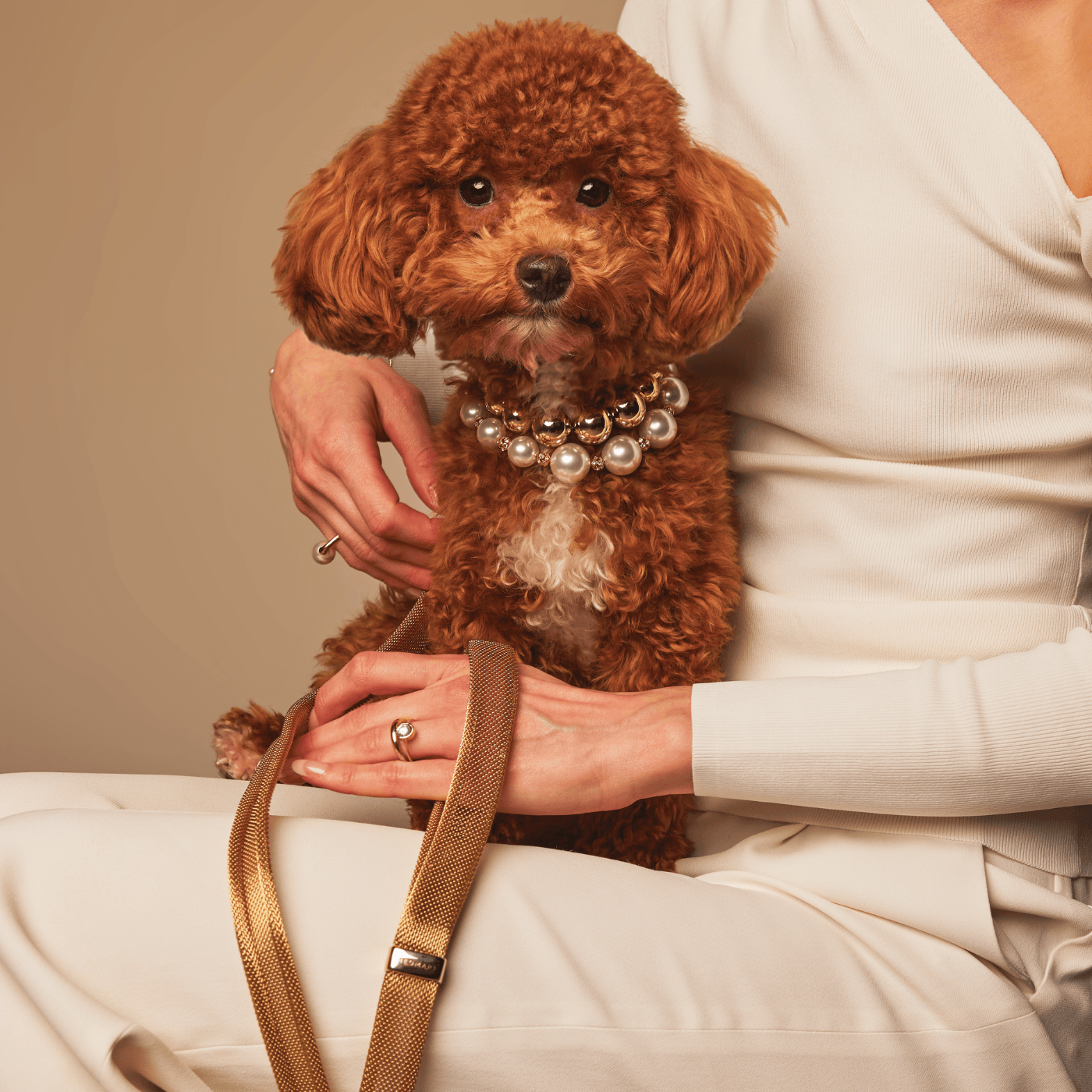 Meomari Terabust Dog Necklace Collar - Meomari