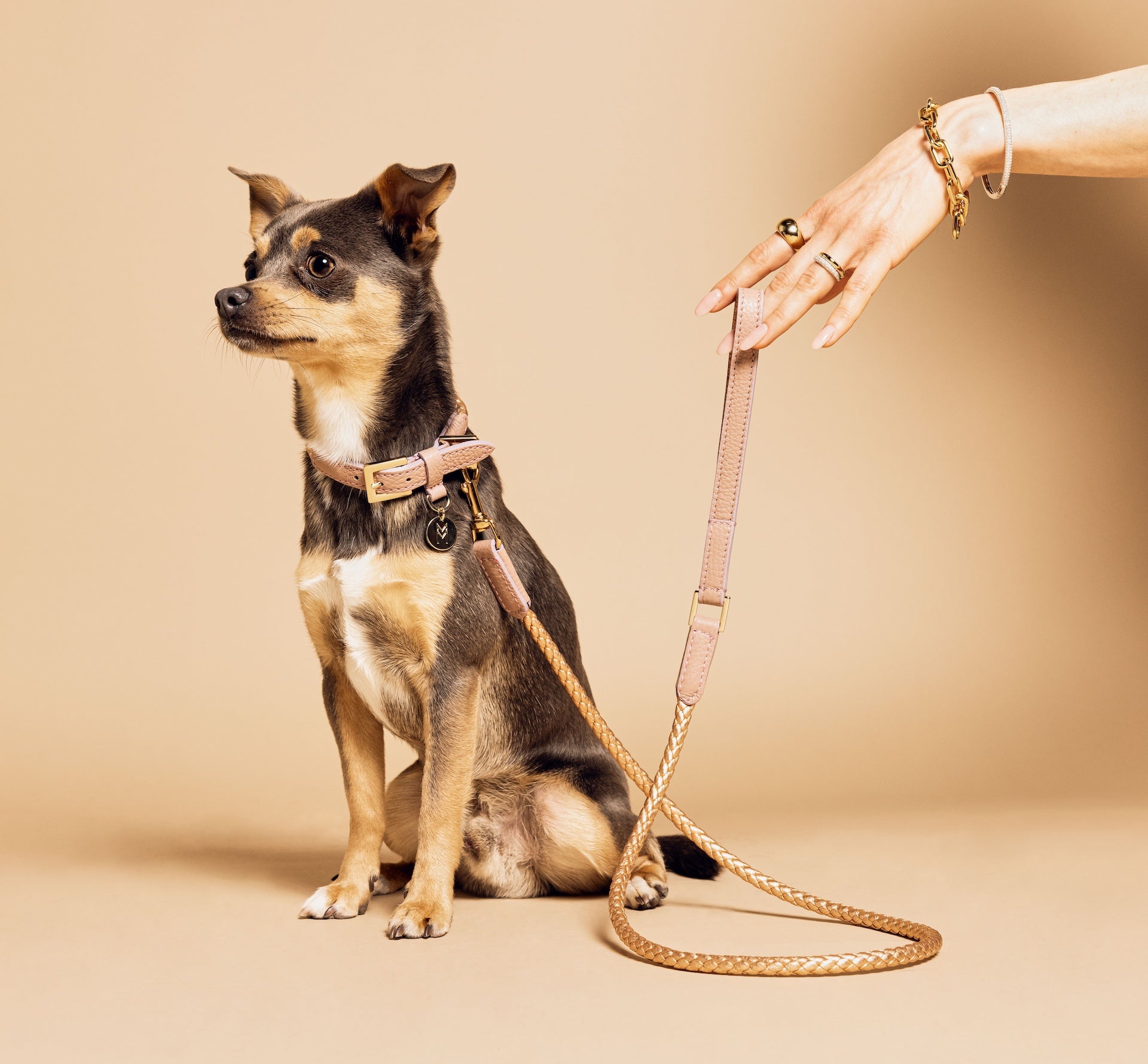 Meomari Fracci dog leash small - Meomari