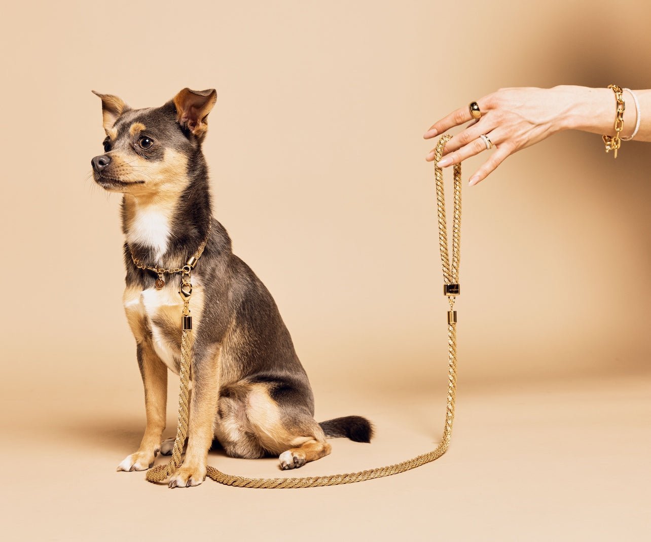 MEOMARI GRISI GOLD TONE DOG LEASH - Meomari