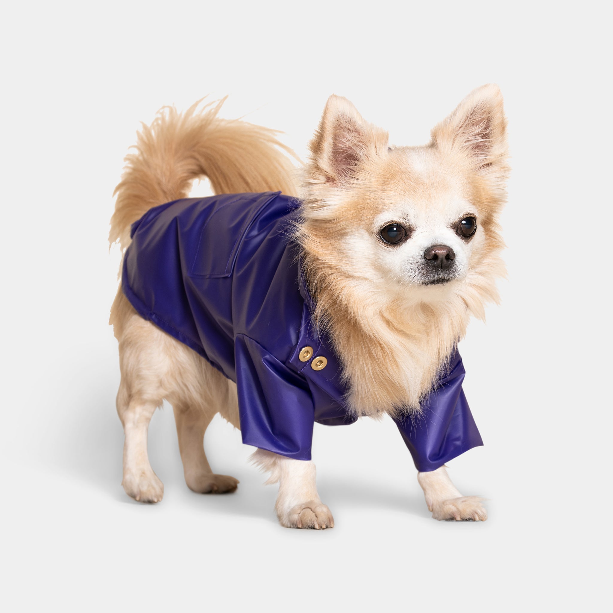 Meomari Perini dog raincoat purple - Meomari