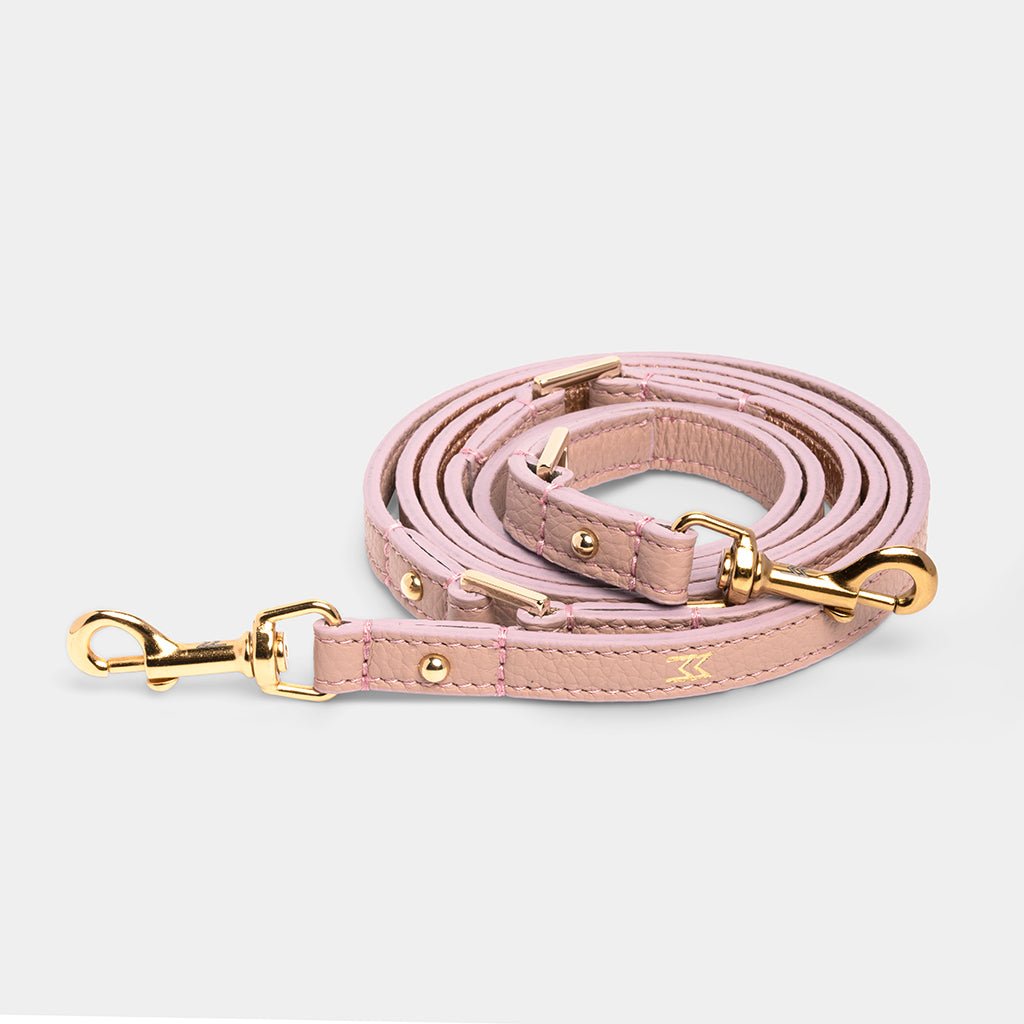 Meomari Taglioni dog training leash - Meomari