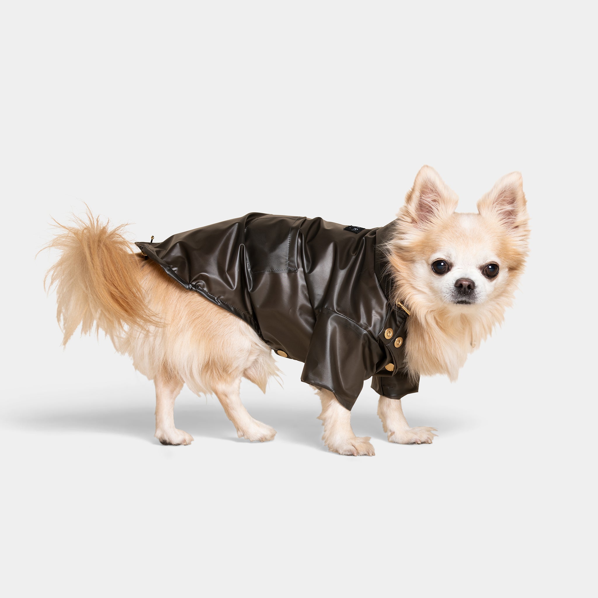 Meomari Perini dog raincoat grey - Meomari