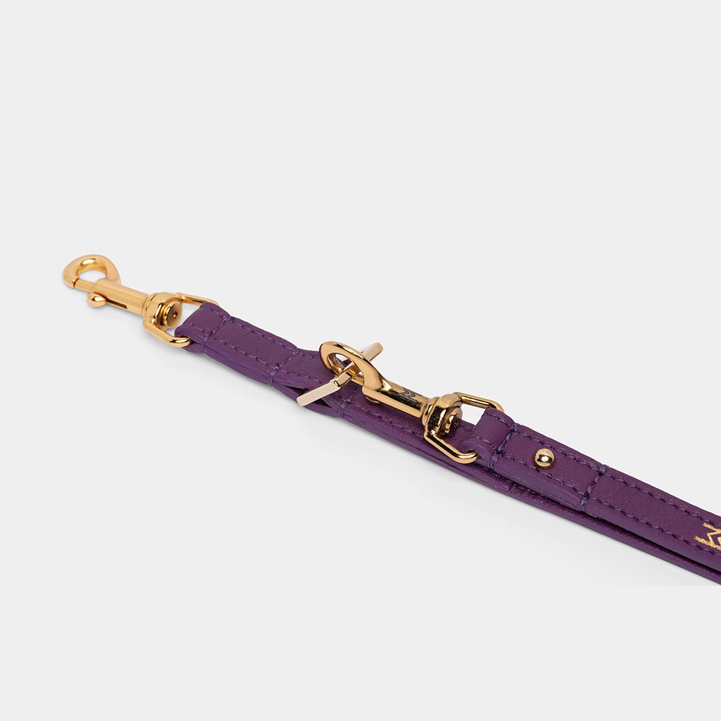 Meomari Da Piacenza Dog training leash - Meomari