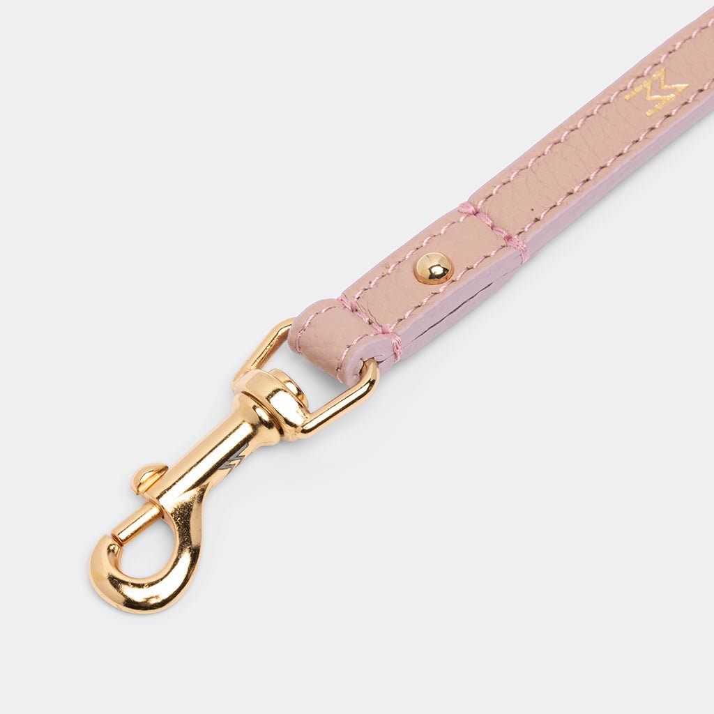 Meomari Taglioni dog training leash - Meomari