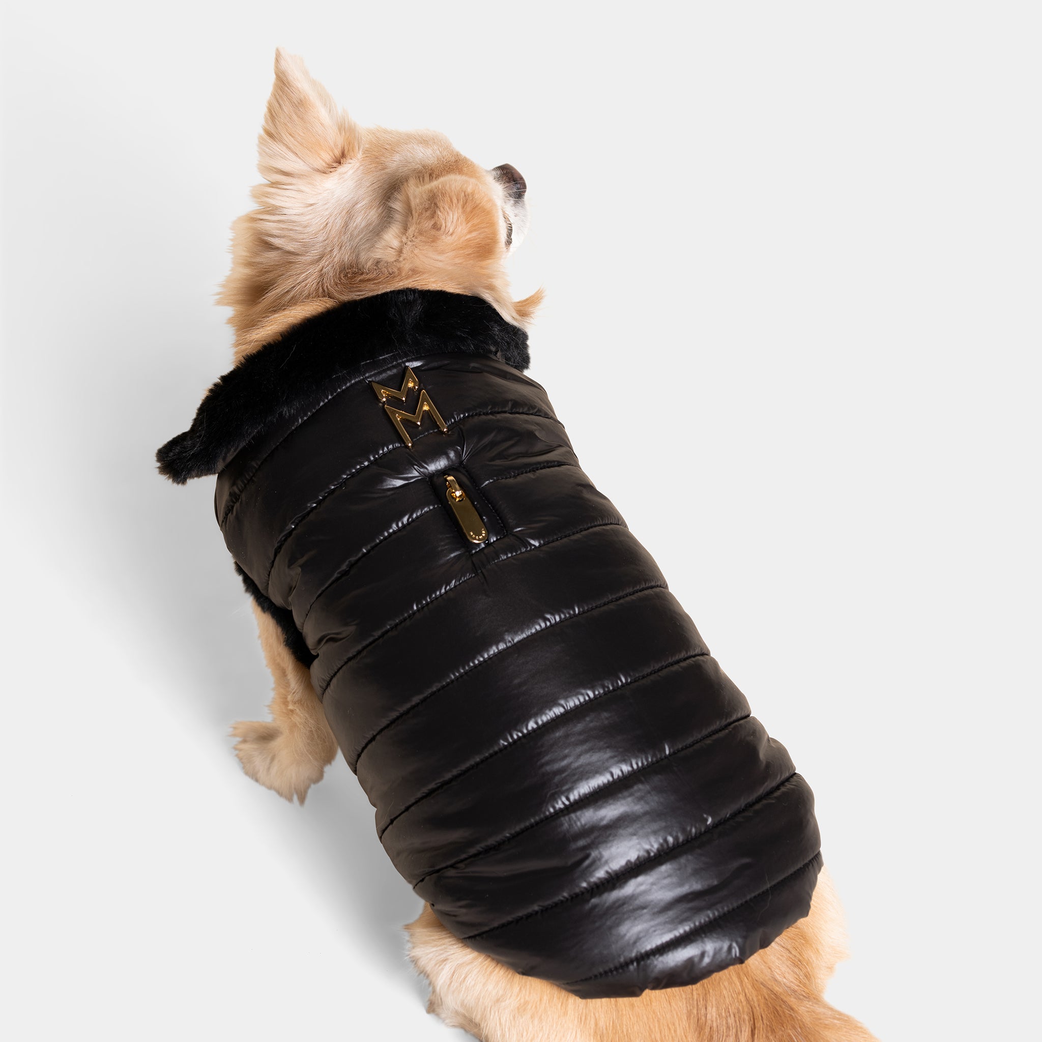 Meomari Cecchetti Dog Puffer Jacket - Meomari