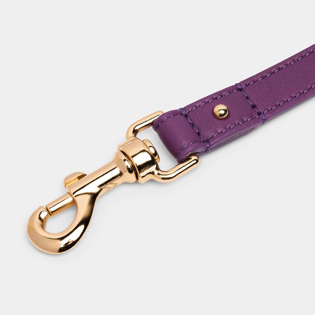 Meomari Da Piacenza dog leash large - Meomari