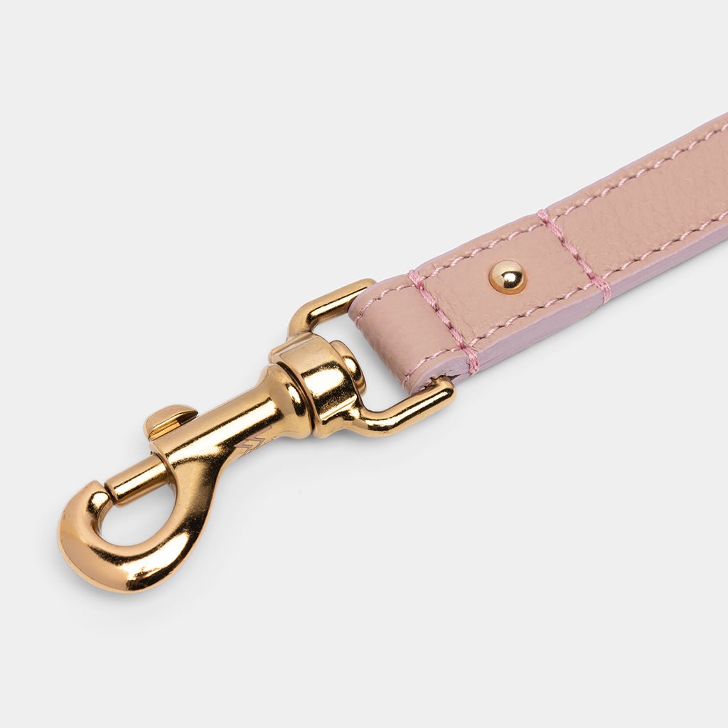 Meomari Taglioni dog leash large - Meomari