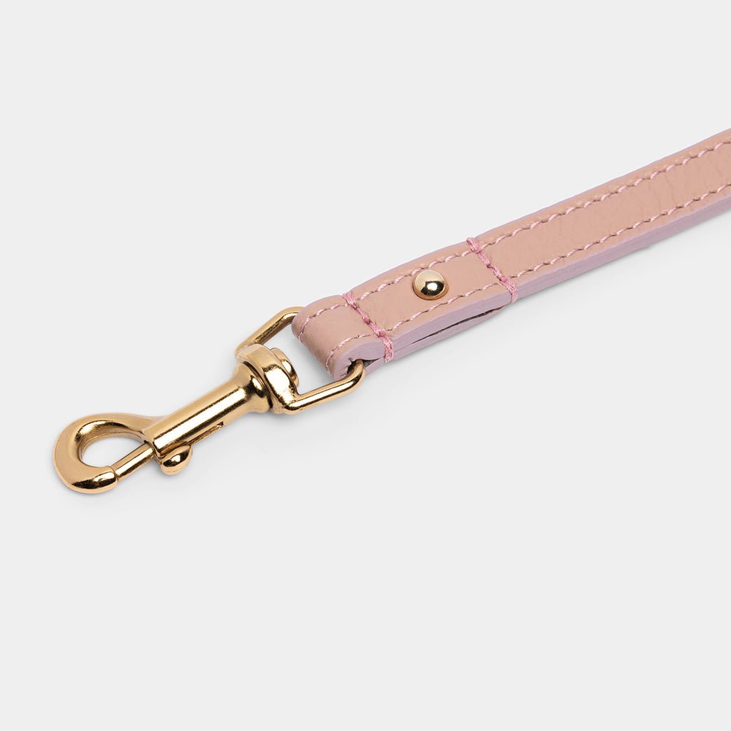 Meomari Fracci dog training leash - Meomari