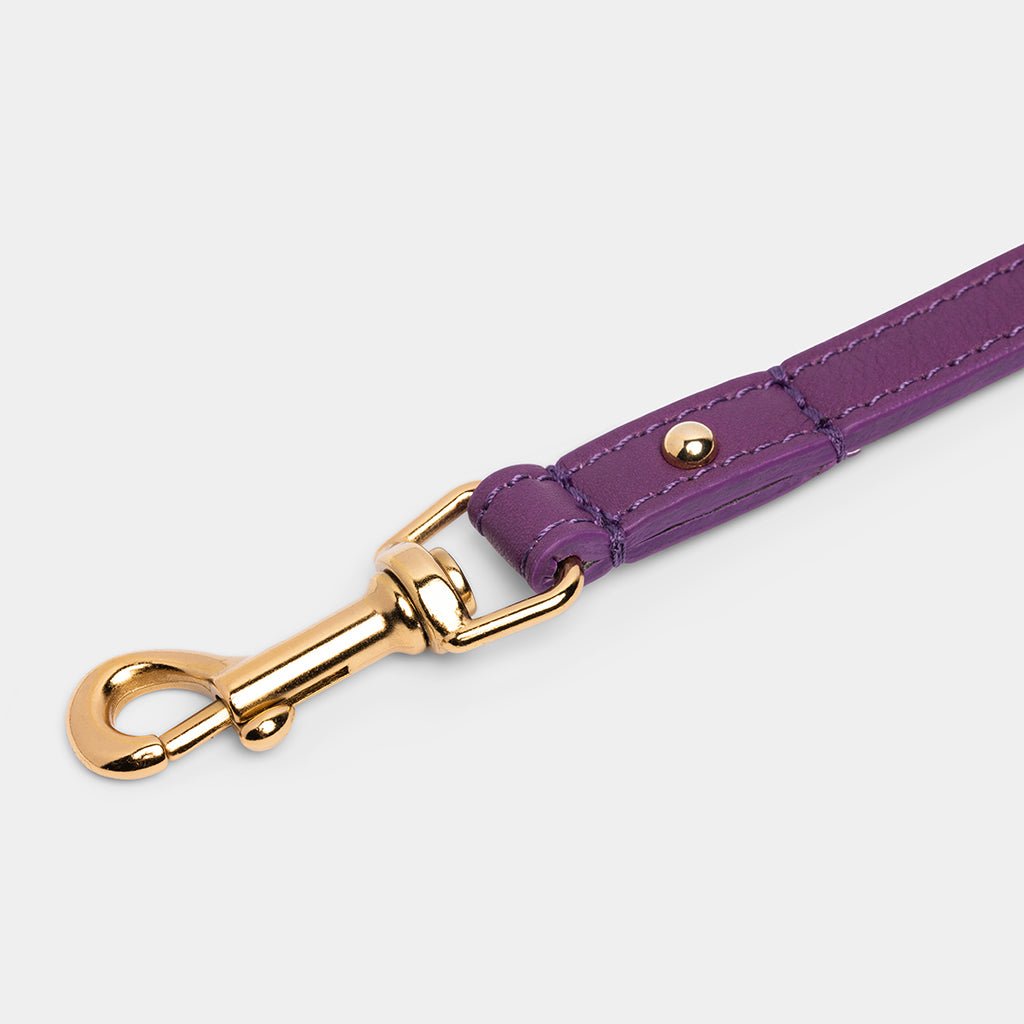 Meomari Da Piacenza dog leash small - Meomari