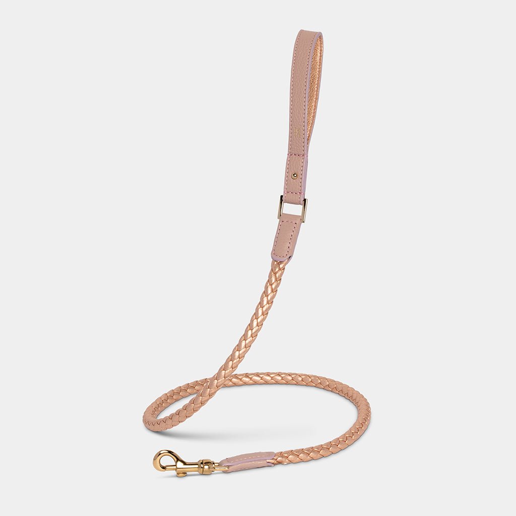 Meomari Fracci dog leash large - Meomari