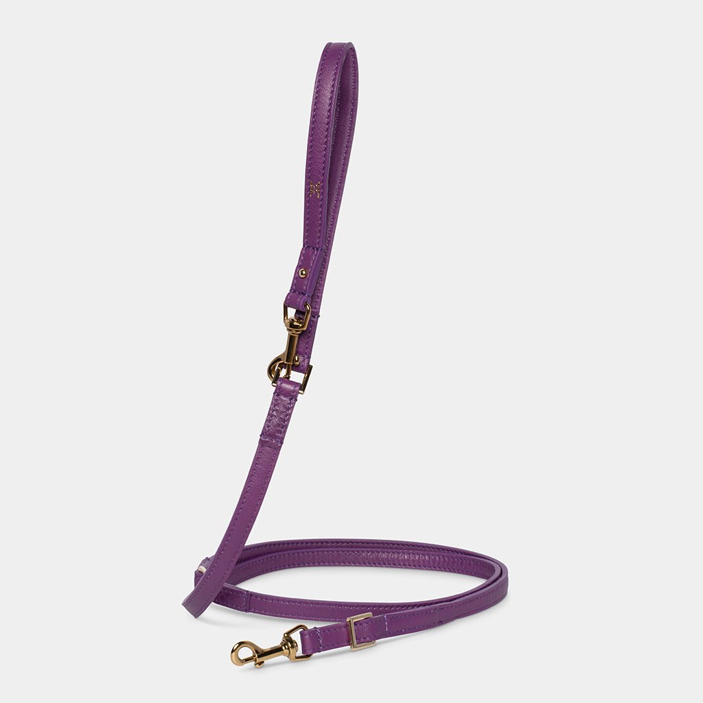 Meomari Da Piacenza Dog training leash - Meomari