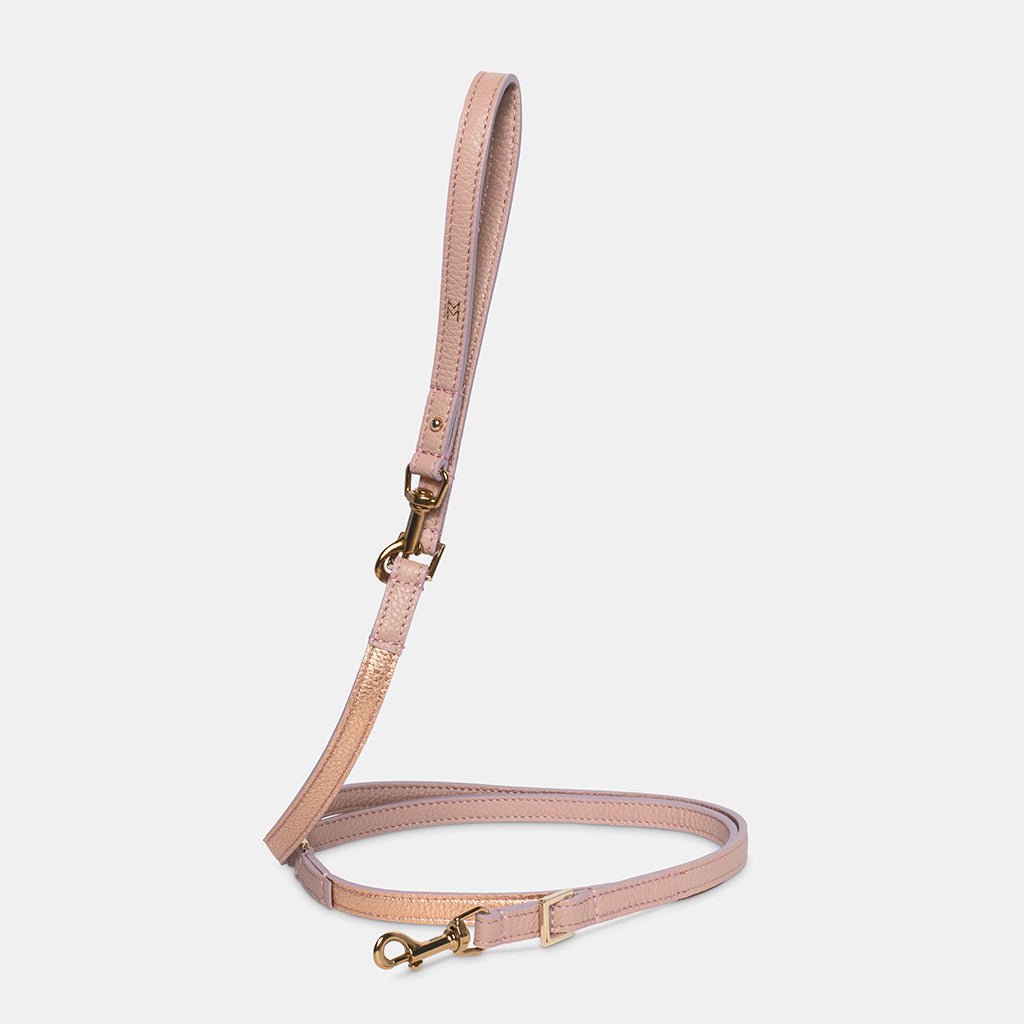 Meomari Taglioni dog training leash - Meomari