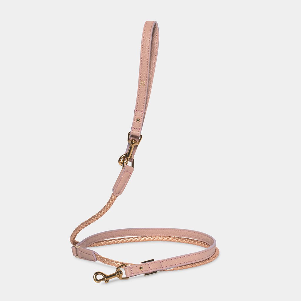 Meomari Fracci dog training leash - Meomari