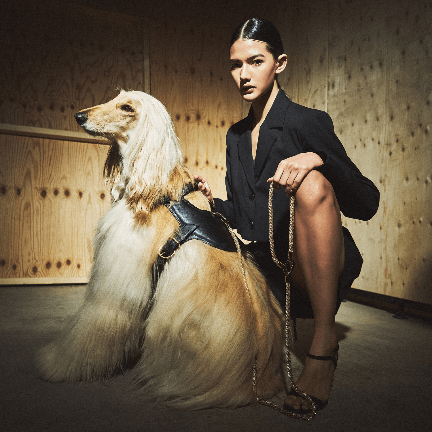 Dog leash handle in Palladium braided - Meomari