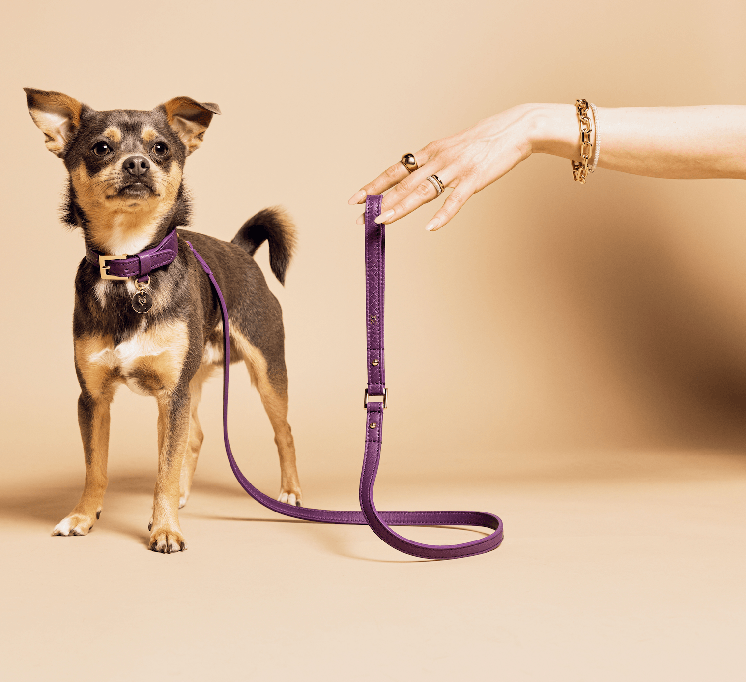 Meomari Da Piacenza dog leash small - Meomari