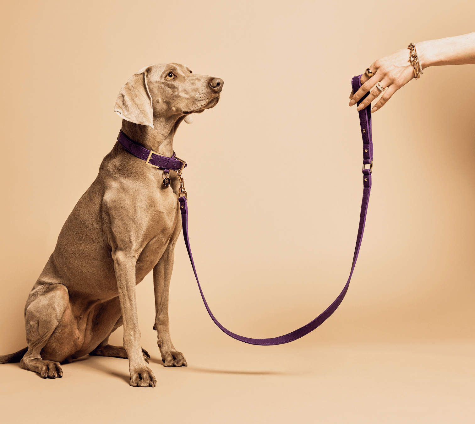 Meomari Da Piacenza dog leash large - Meomari