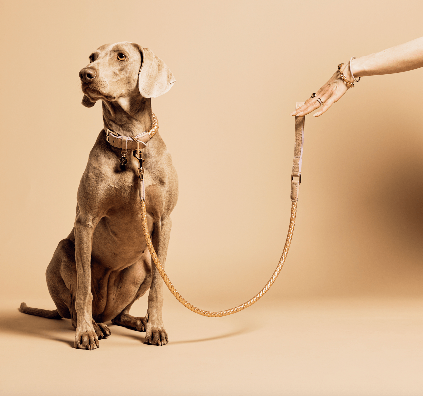 Meomari Fracci dog leash large - Meomari