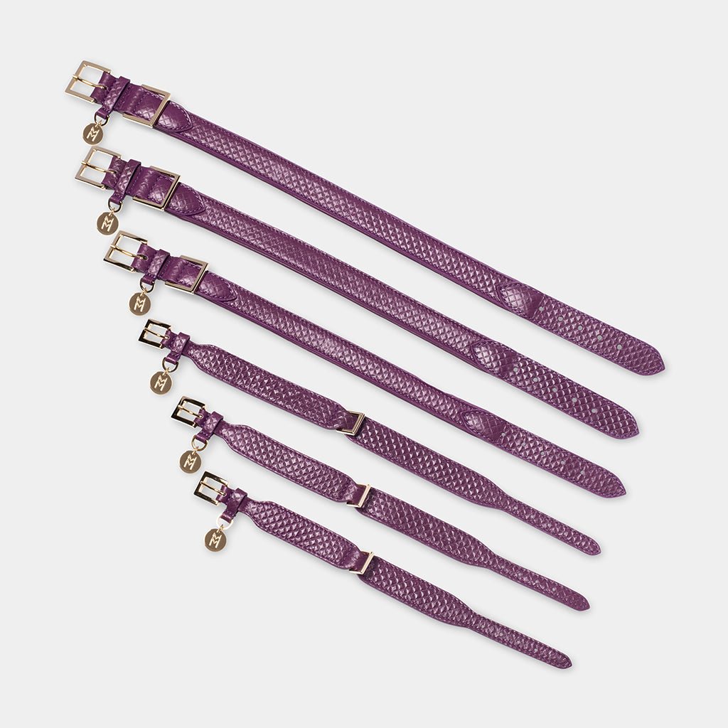 Meomari Da Piacenza Purple Dog collar large sizes - Meomari