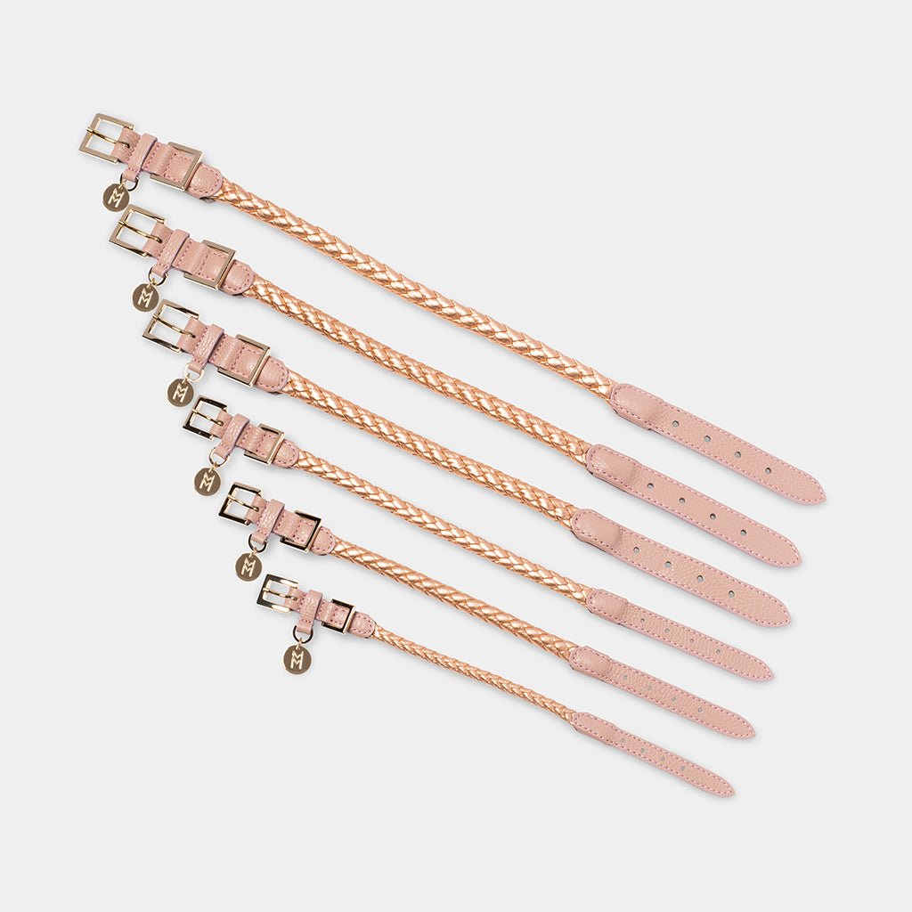 Meomari Fracci dog collar large sizes - Meomari