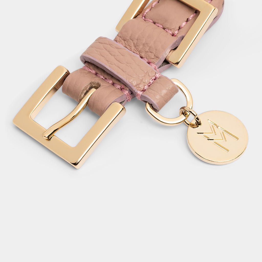 Meomari Fracci Dog Collar small sizes - Meomari