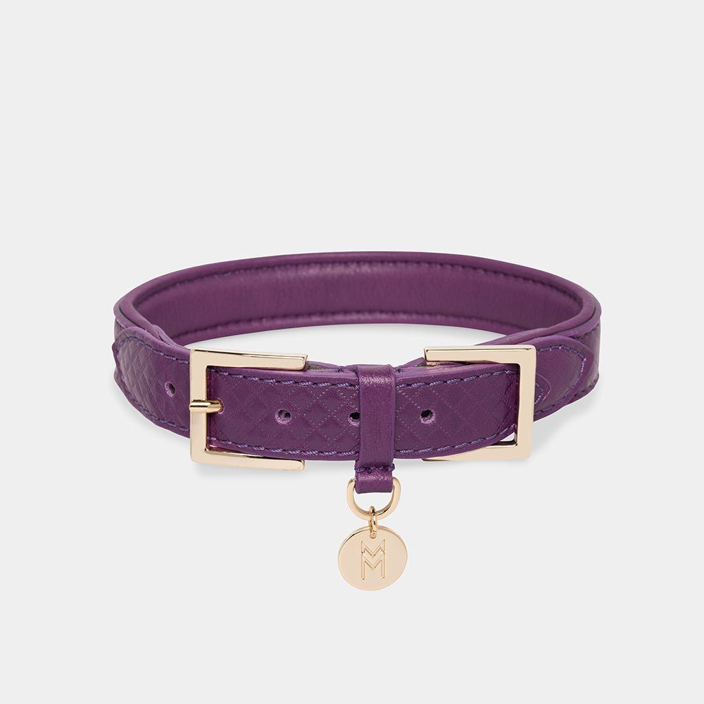 Meomari Da Piacenza Purple Dog collar large sizes - Meomari