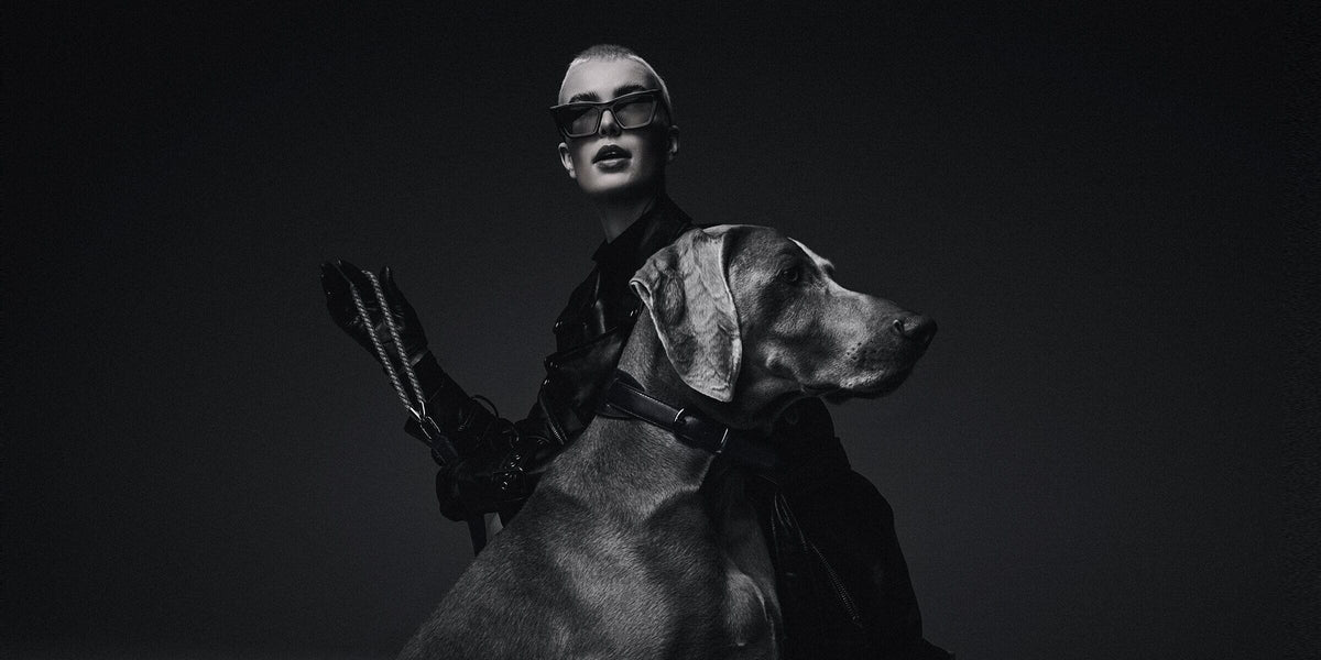 LUXURY DESIGNER DOG COLLARS AND MORE | MEOMARI