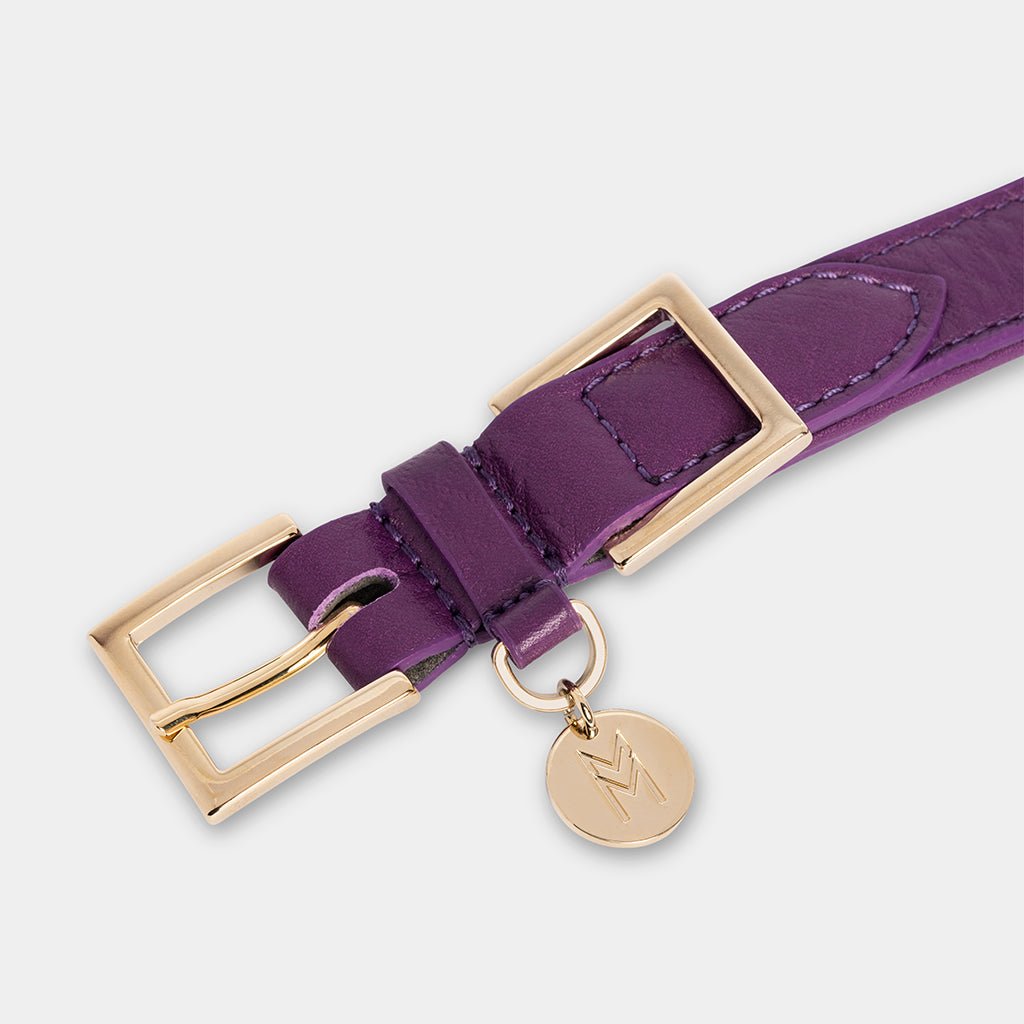 Meomari Da Piacenza Purple Dog collar large sizes - Meomari