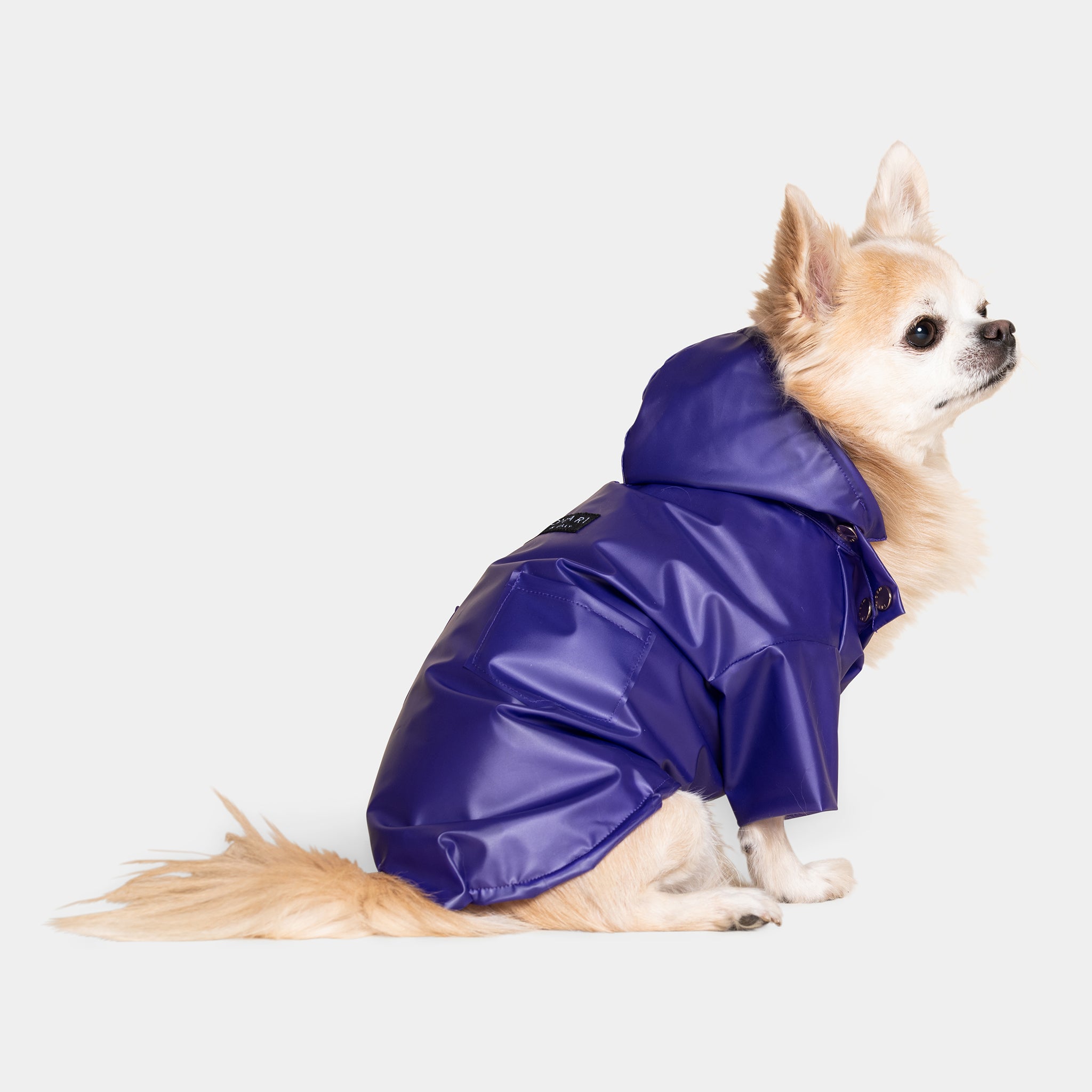 Perini Luxury Dog Raincoat Purple | Meomari - Luxury Dog Boutique