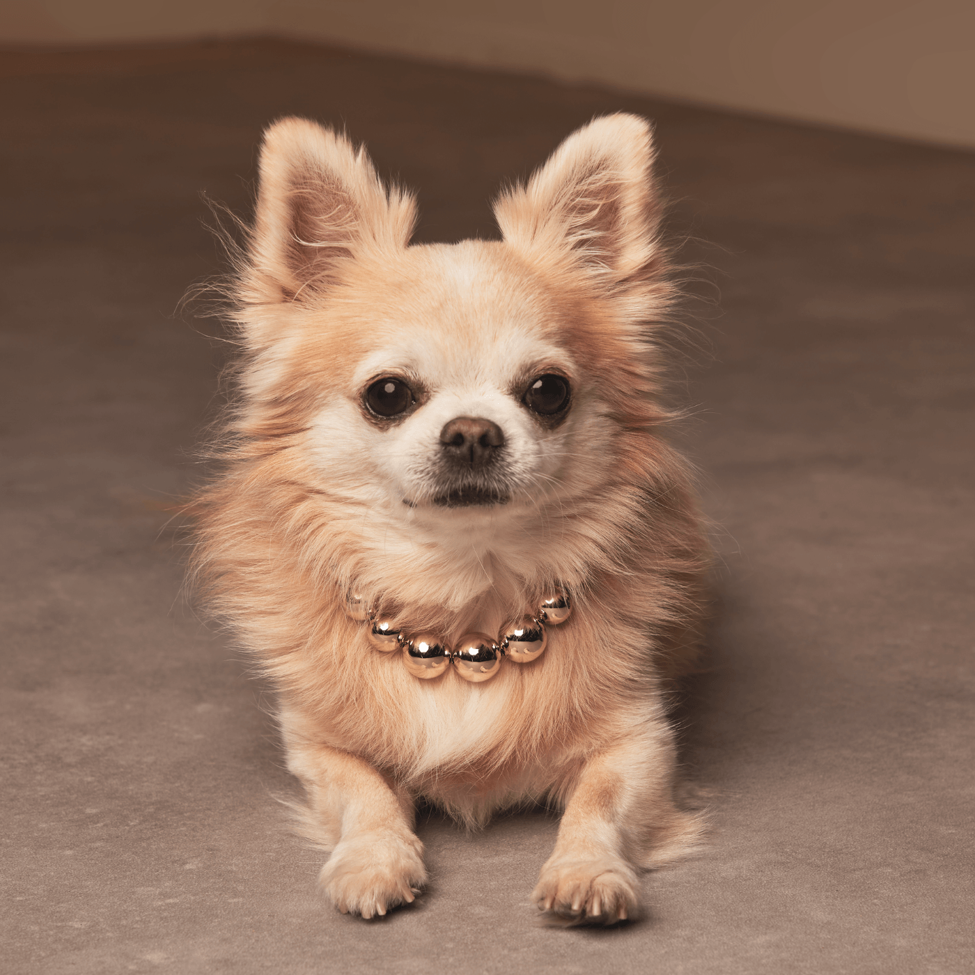 Loungefly Disney dog necklace