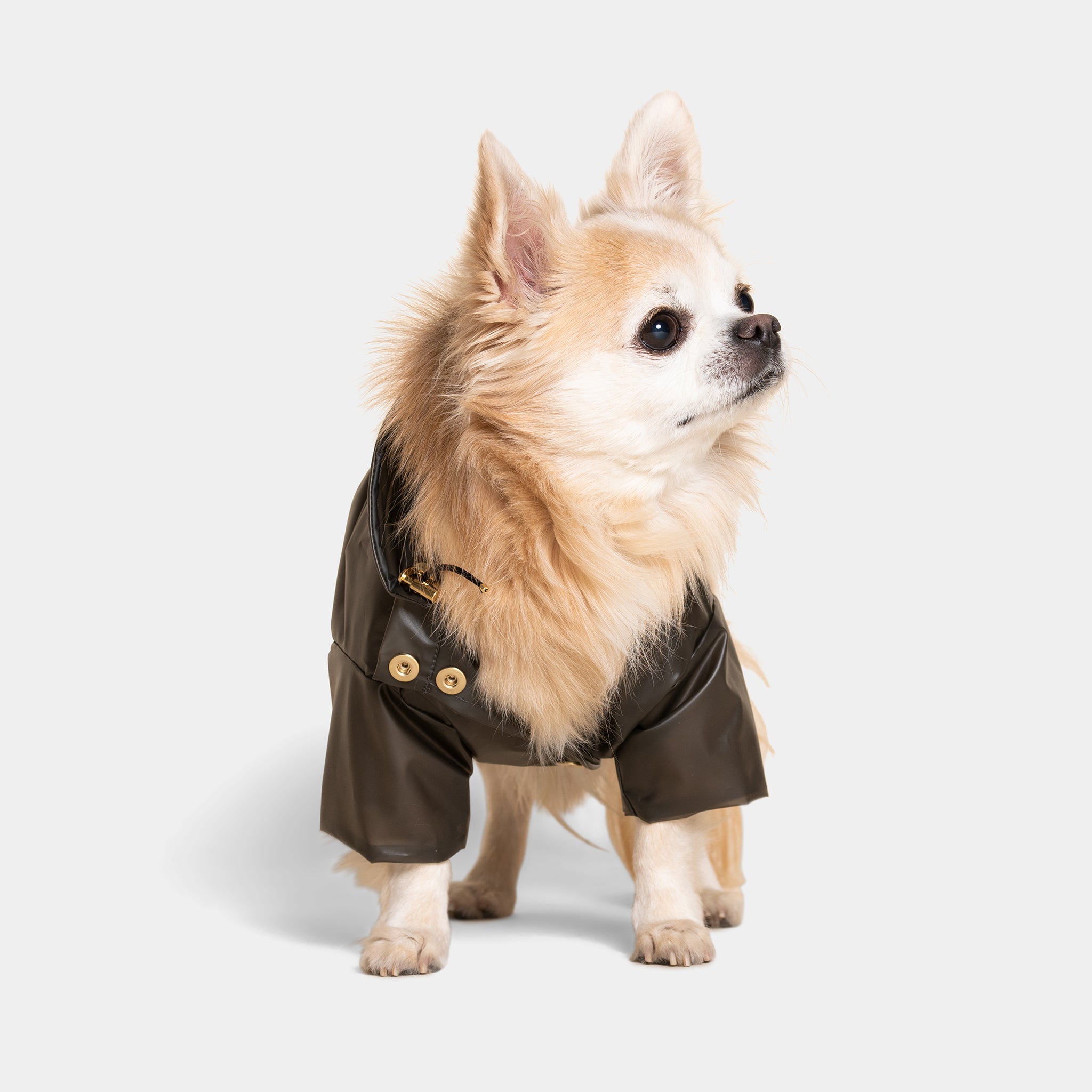 Meomari Perini dog raincoat grey - Meomari