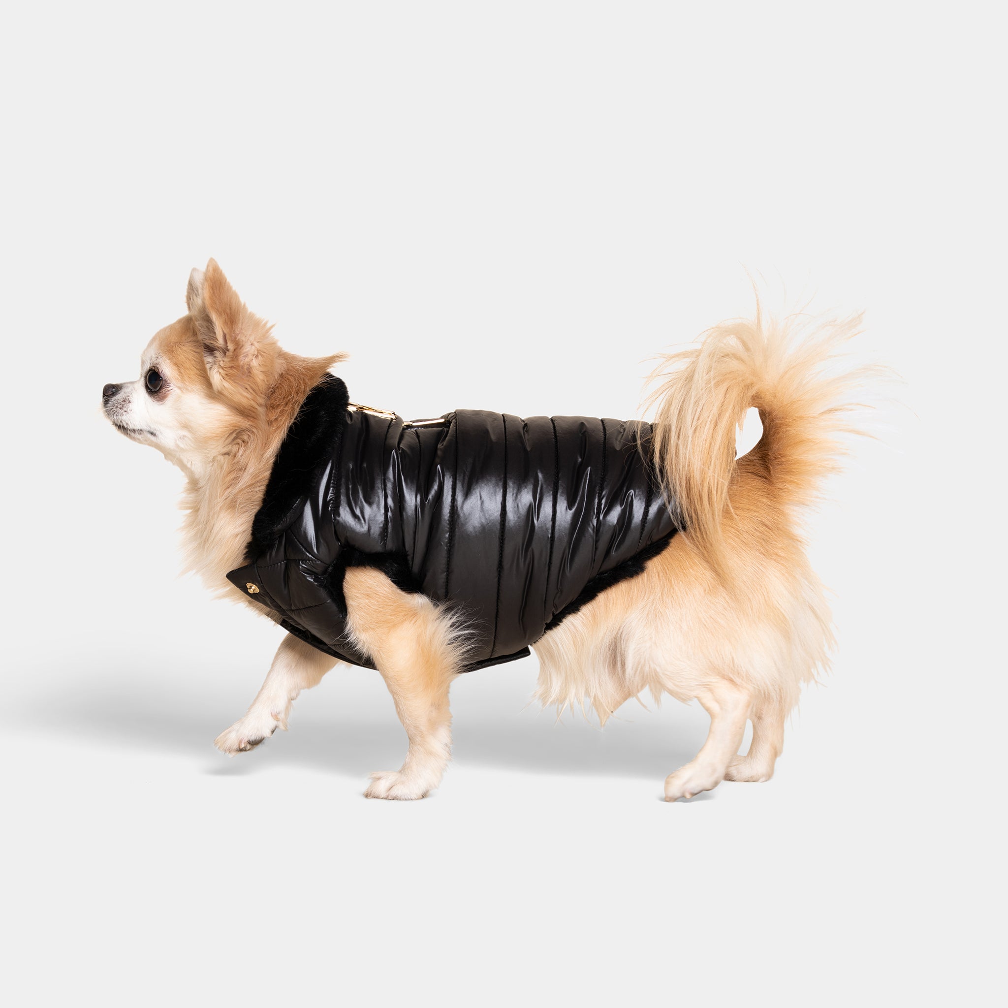 Meomari Cecchetti Dog Puffer Jacket - Meomari