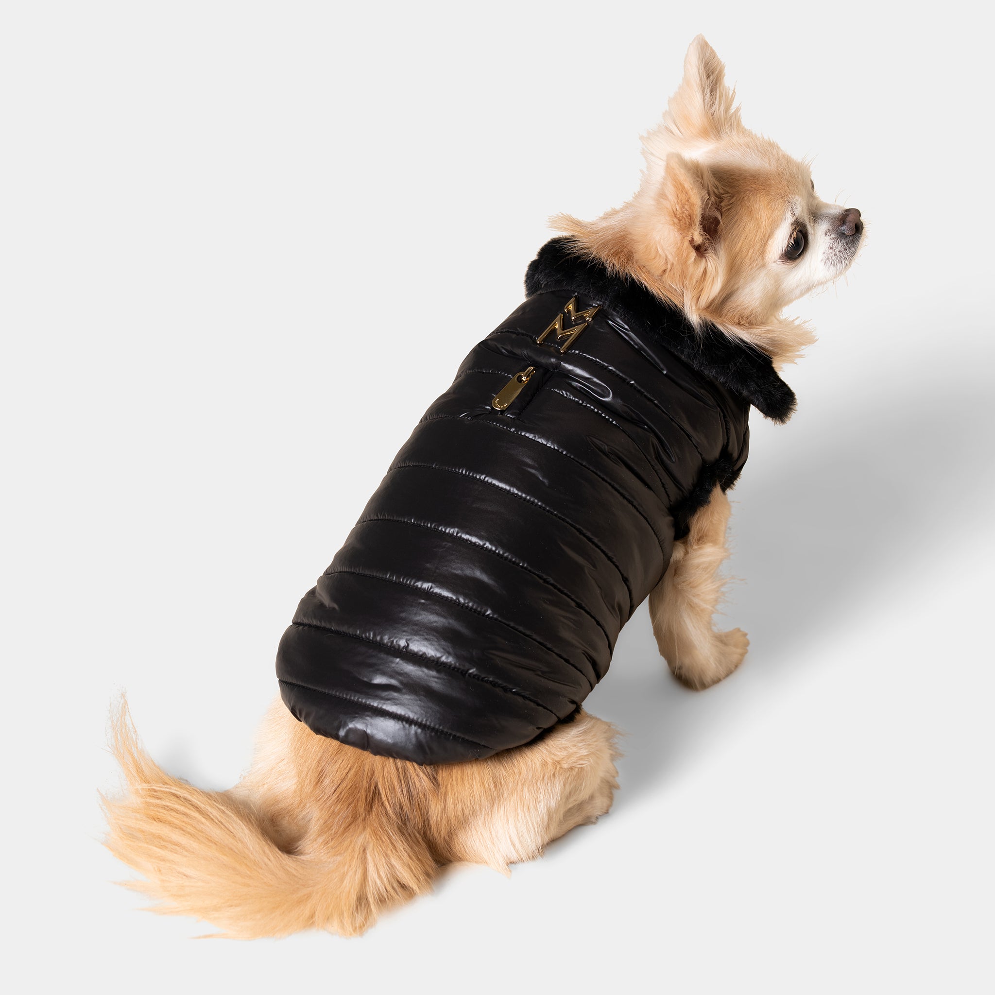 Meomari Cecchetti Dog Puffer Jacket - Meomari