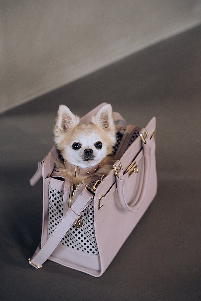 Meomari Ferri Dog Carrier Bag - Meomari